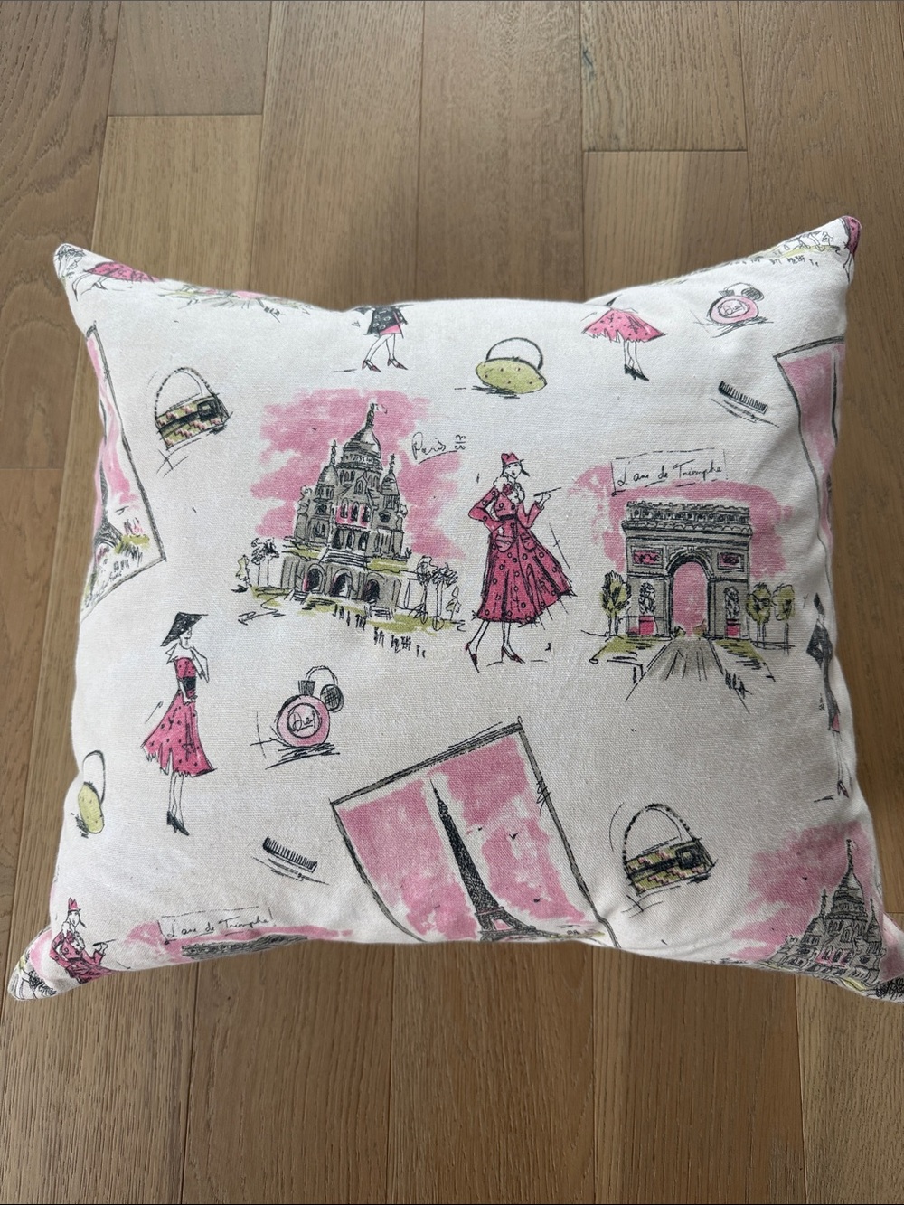 Handmade Parisian pillow 18 x 18 with feather insert